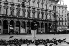The-lady-and-the-birds